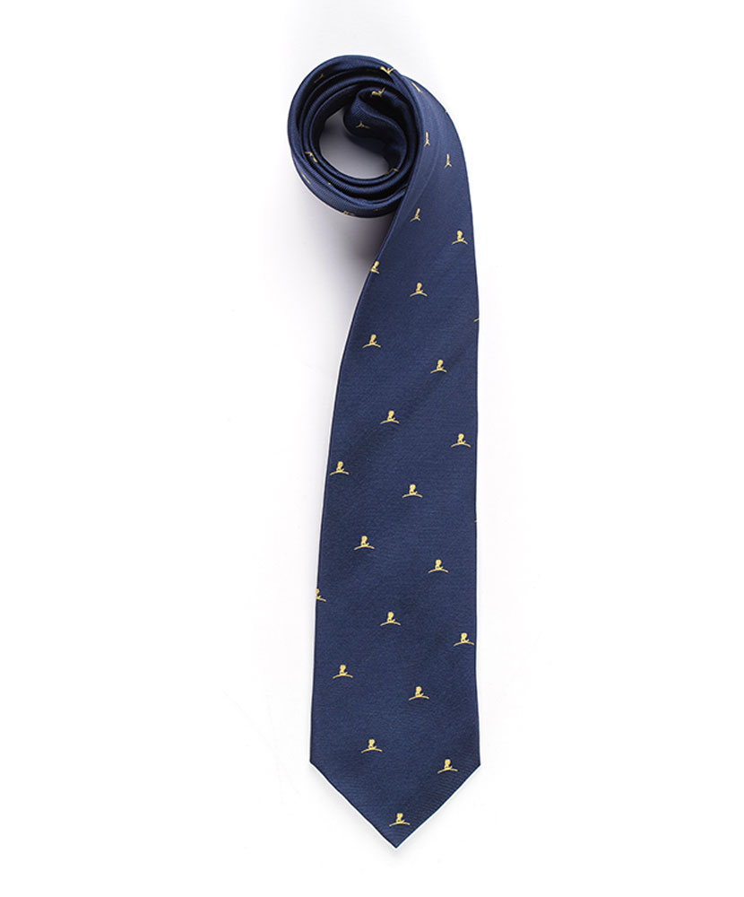 Navy and Gold Logo Tie